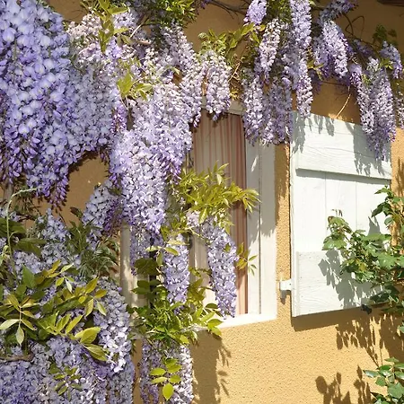 La Cerisaie Bed & Breakfast