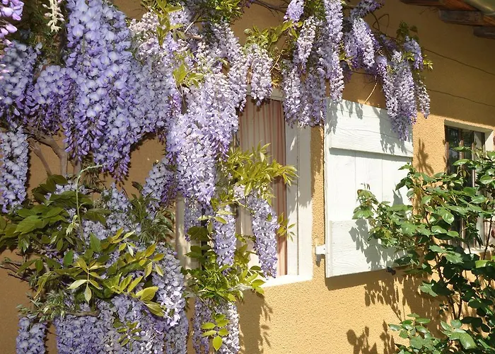 La Cerisaie B&B